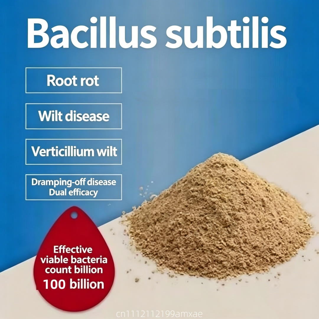 Planted Aquarium Fertilizer - Bubuk Bacillus Subtilis Aktivitas Tinggi Pupuk