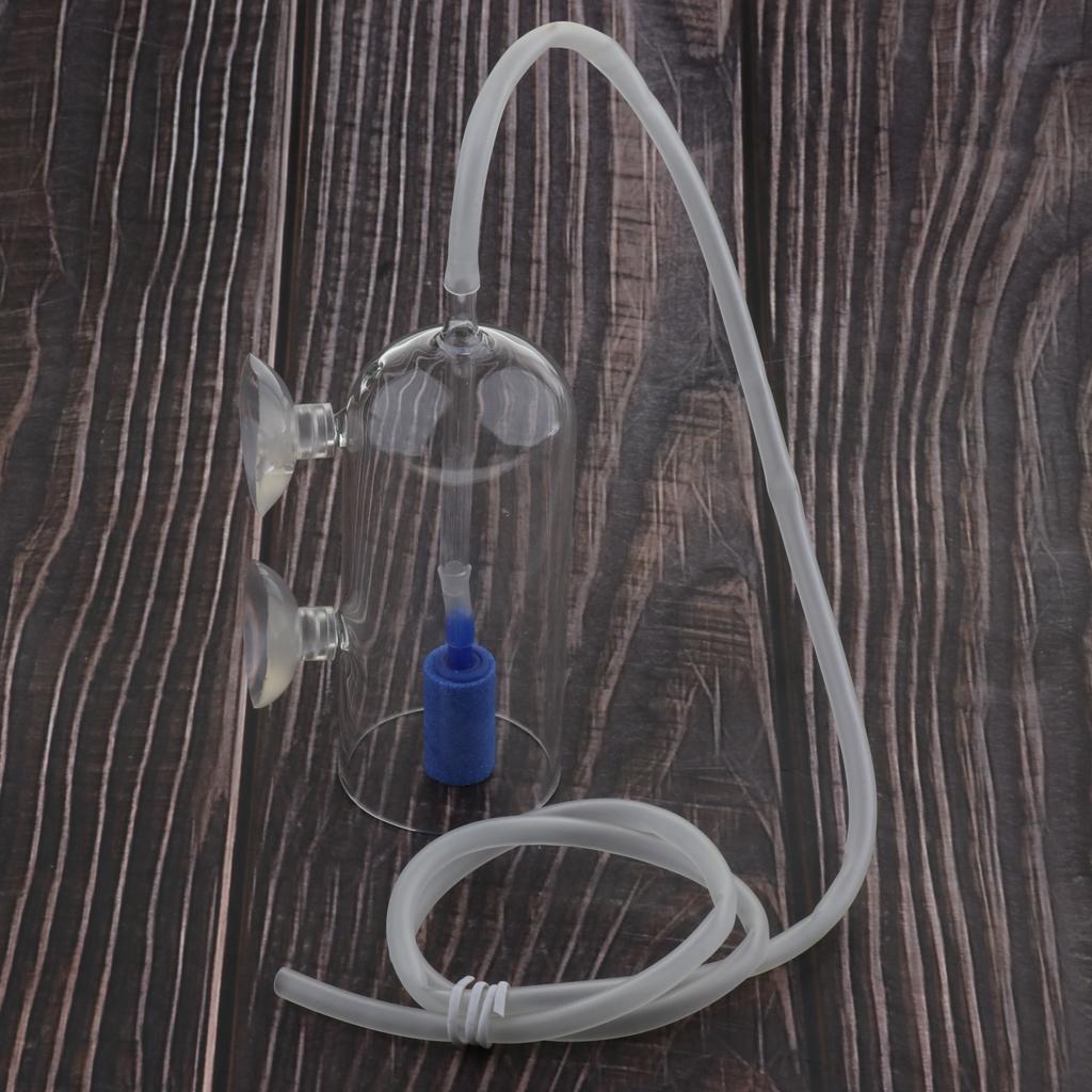 Planted Aquarium Co2 System - Sistem Diffuser CO2 untuk Akuarium Tanaman