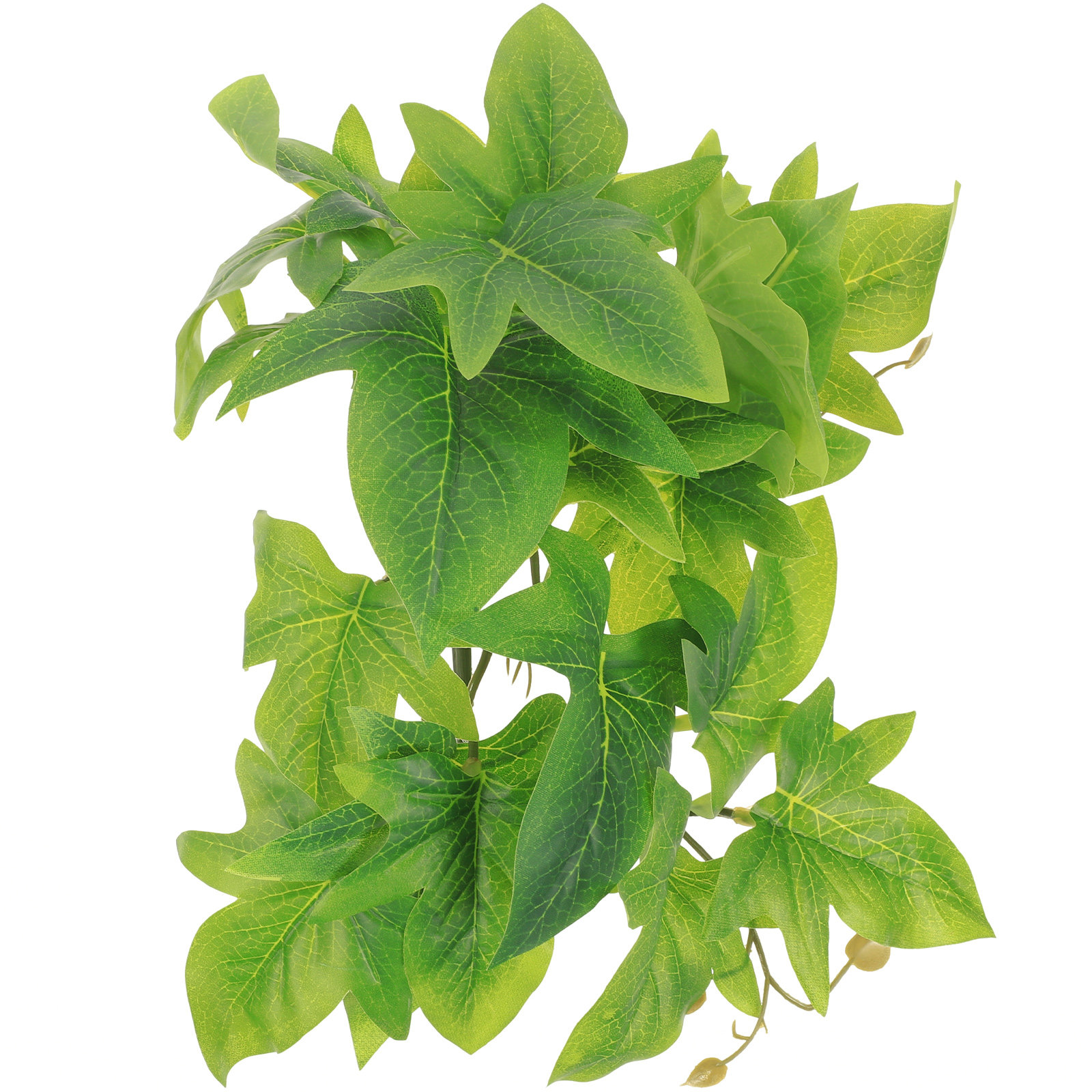 Aquarium Plant Vine - Tanaman Hias Dinding Terarium Reptil, Daun