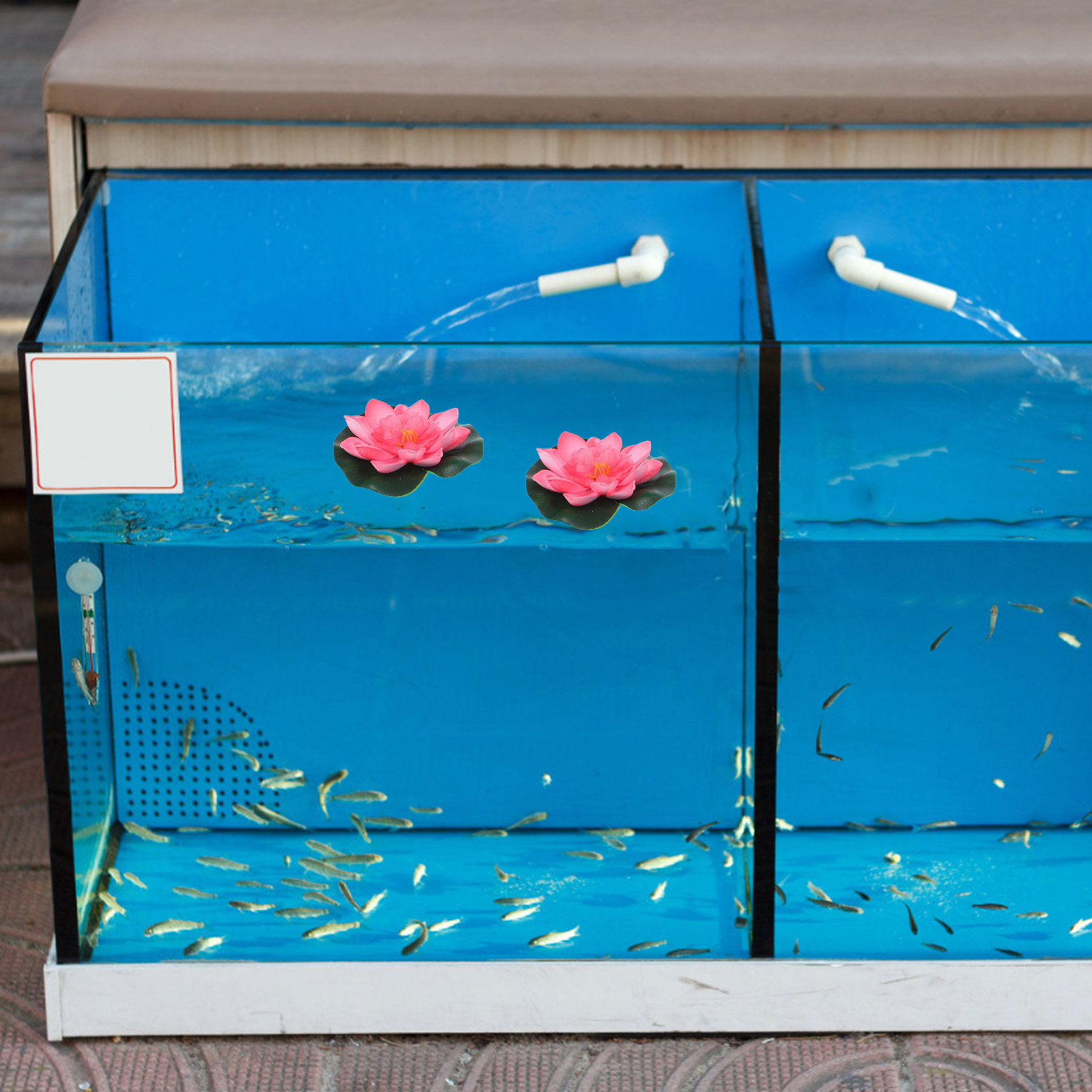 12 Buah Bunga Teratai Buatan u - Aquarium Plant ulasan dan harga