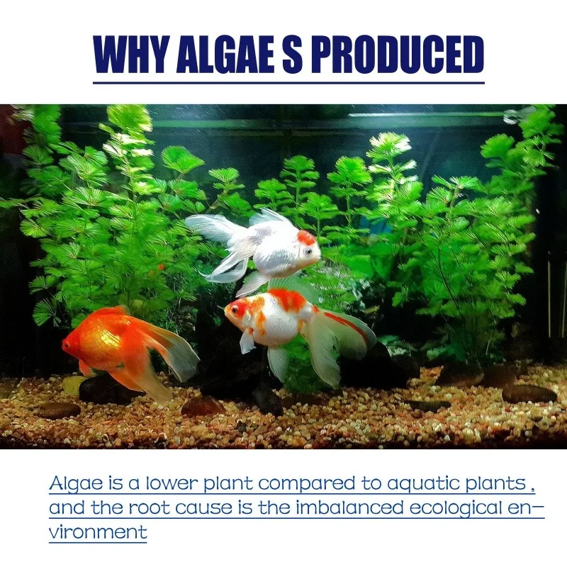 50g Algaecide Efisiensi Tinggi - Planted Aquarium Fertilizer ulasan dan harga