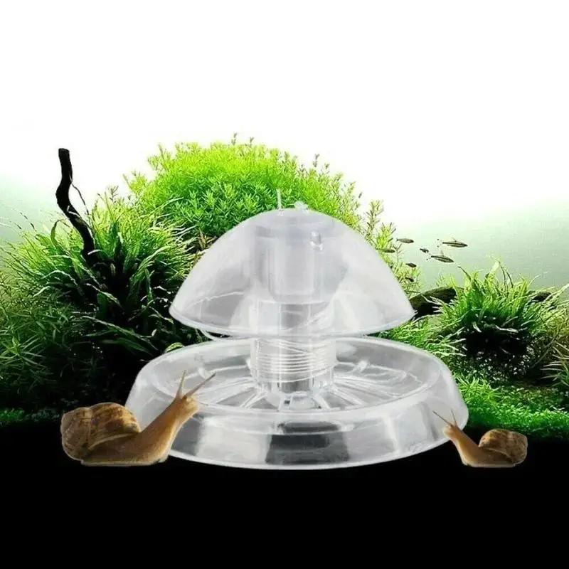 2026 Perangkap Siput Plastik T - Aquarium Plant ulasan dan harga