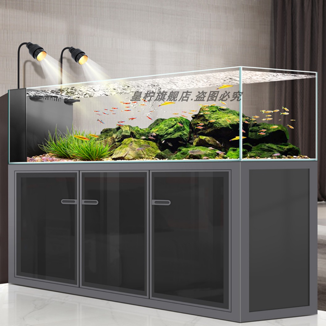 Akuarium Yjq Industrial Wind S - Aquarium Plant Echinodorus ulasan dan harga