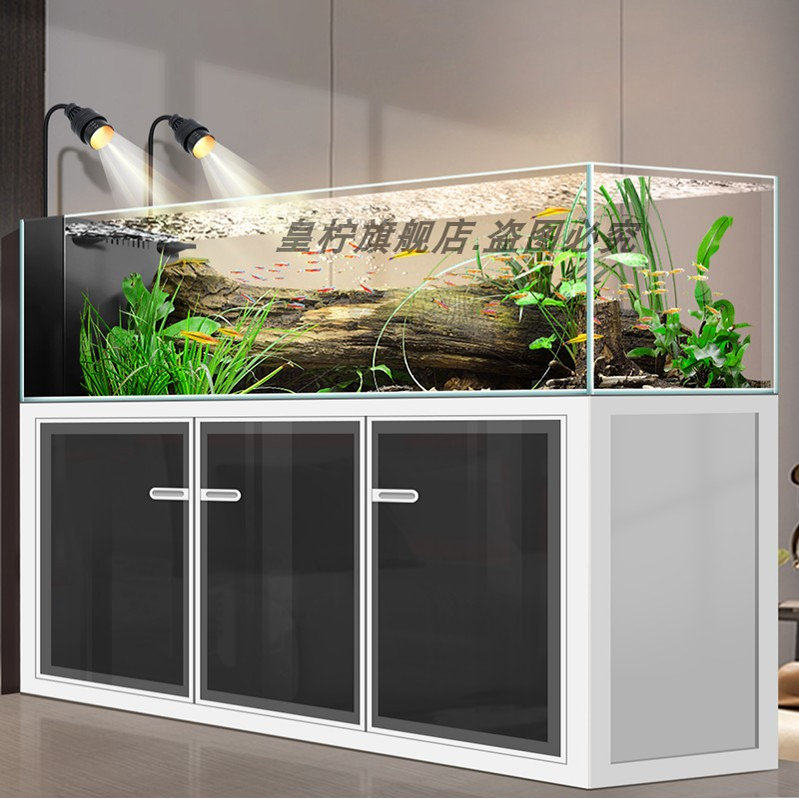 Akuarium Yjq Industrial Wind S - Aquarium Plant Echinodorus ulasan dan harga