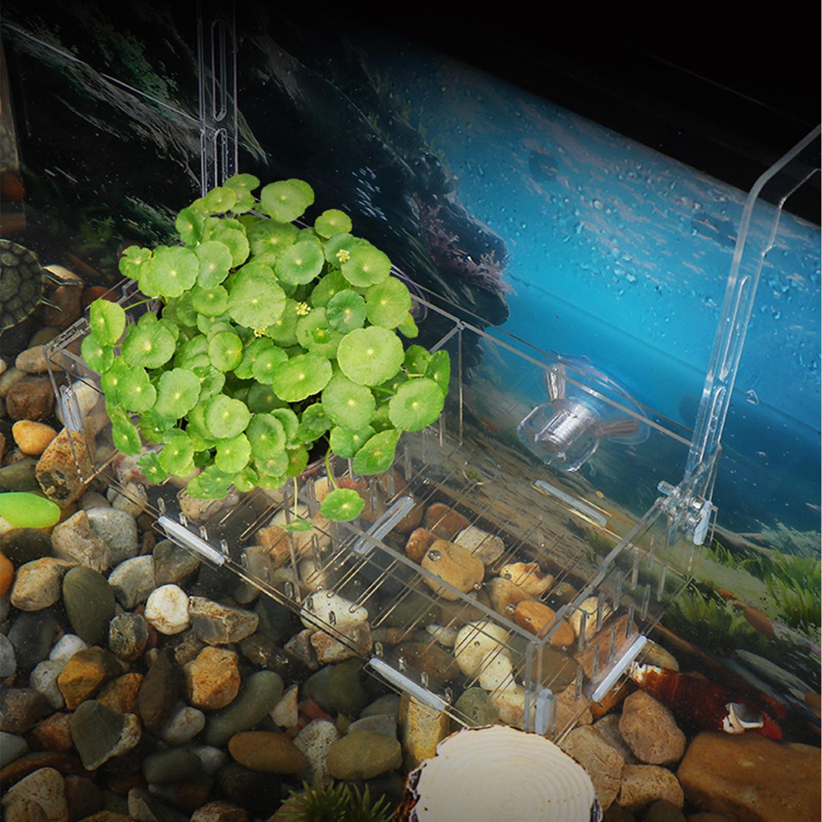 Penyangga Tanaman Akuarium Akr - Aquarium Plant Vine ulasan dan harga