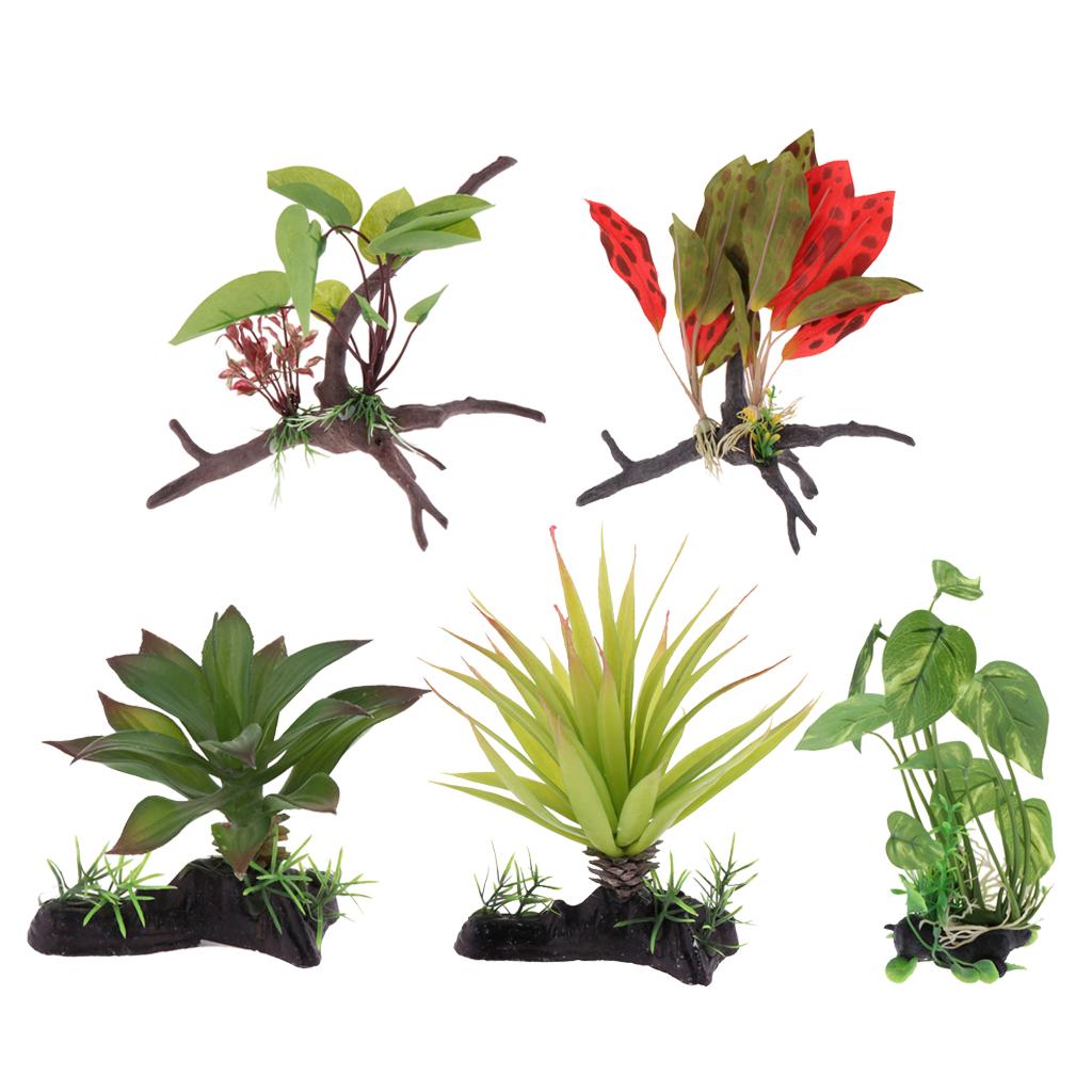 Tanaman Terarium Reptil, Dekor - Aquarium Plant Vine ulasan dan harga