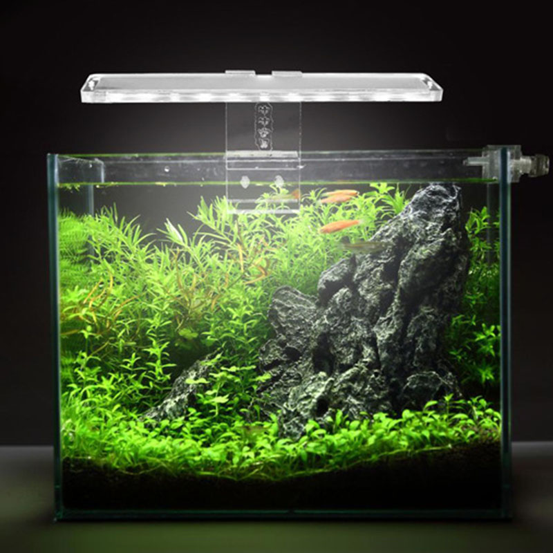 Lampu Akuarium LED Lampu Tanam - Planted Aquarium Best Fish ulasan dan harga