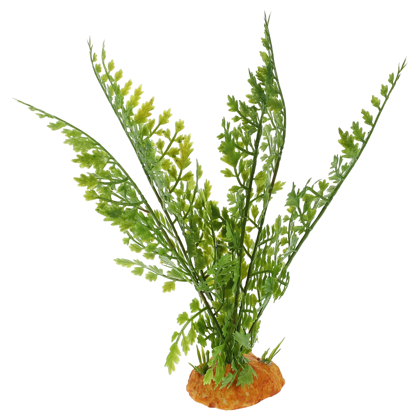 Tanaman Reptil Tanaman Meramba - Aquarium Plant Vine ulasan dan harga
