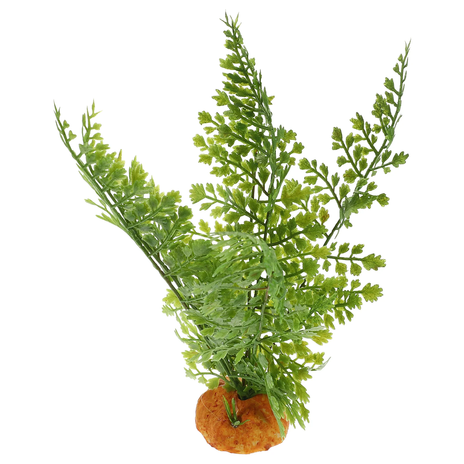 Tanaman Reptil Tanaman Meramba - Aquarium Plant Vine ulasan dan harga