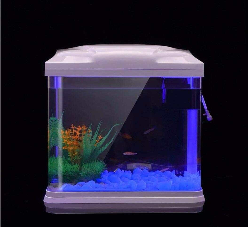 Batu Tangki Ikan Kerikil Biru  - Aquarium Plant ulasan dan harga