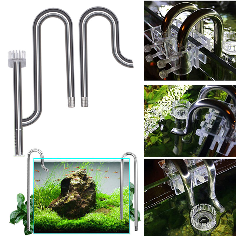 Baru Tangki Ikan Lily Pipa Baj - Planted Aquarium Best Fish ulasan dan harga