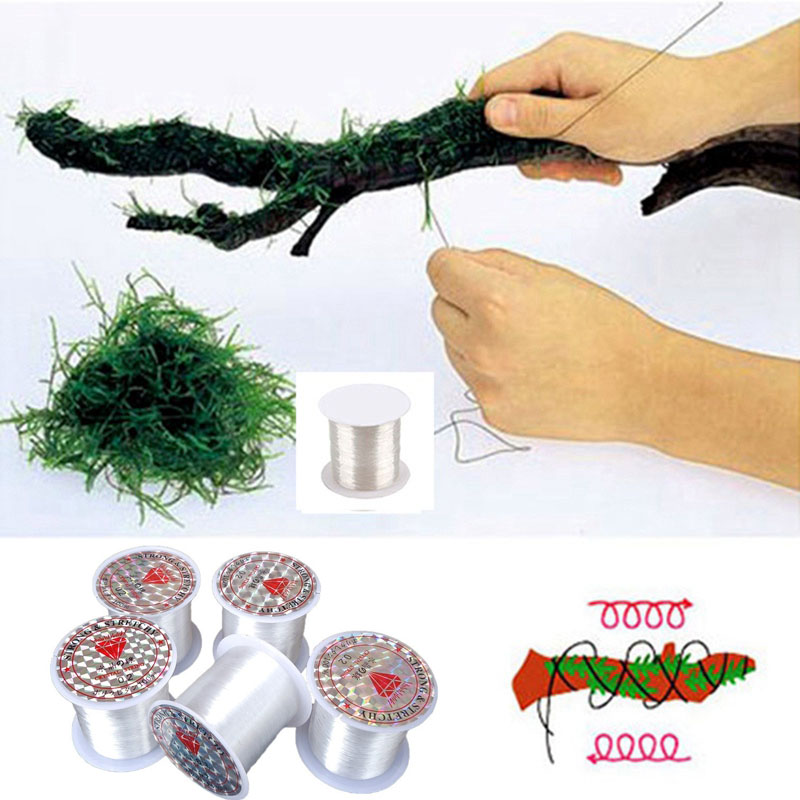 Garis Pengikat Lumut DIY 120M, - Aquarium Plant Echinodorus ulasan dan harga