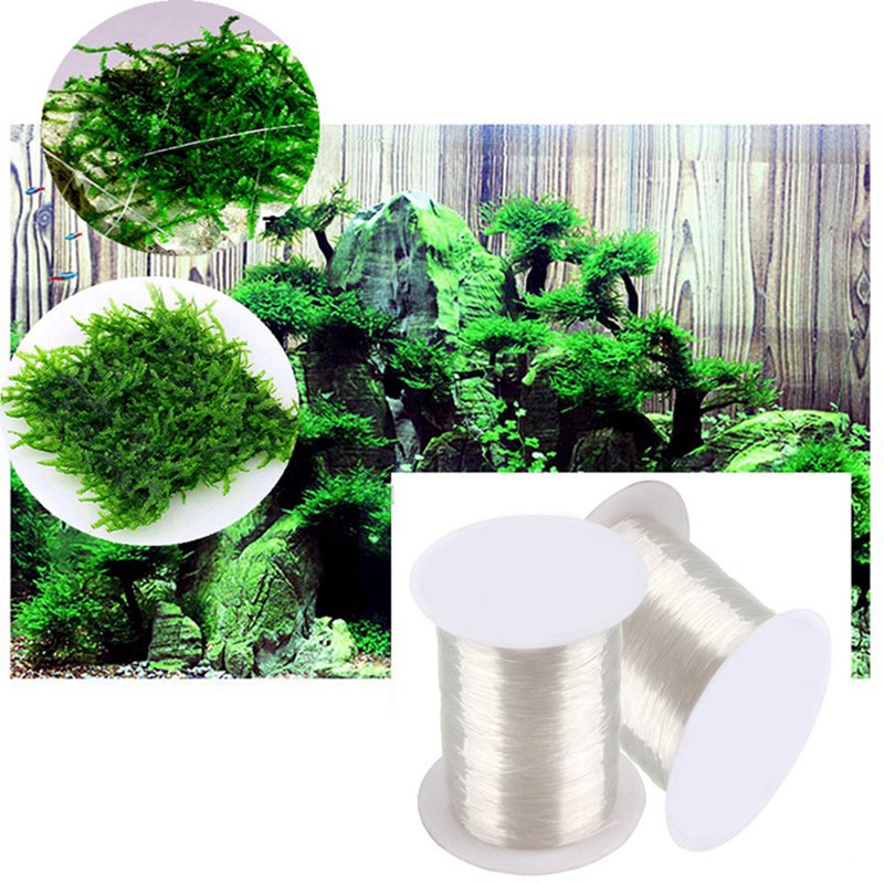 Garis Pengikat Lumut DIY 120M, - Aquarium Plant Echinodorus ulasan dan harga
